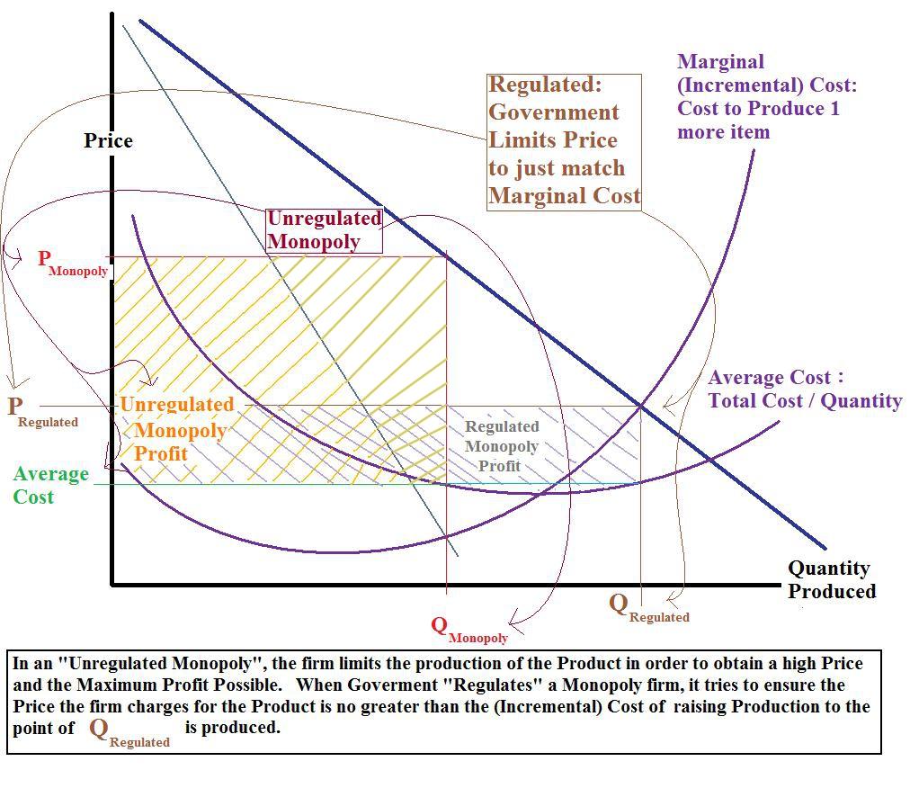 Maximizing Profits through Informed Stock Market Options Trading