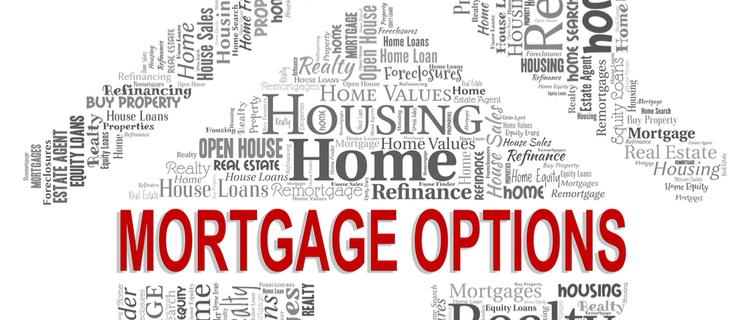 Comparing Different Loan Options for a $25,000 Investment