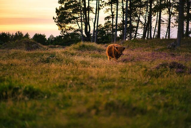 The Characteristics of a Bull Market and What They Mean for Investors